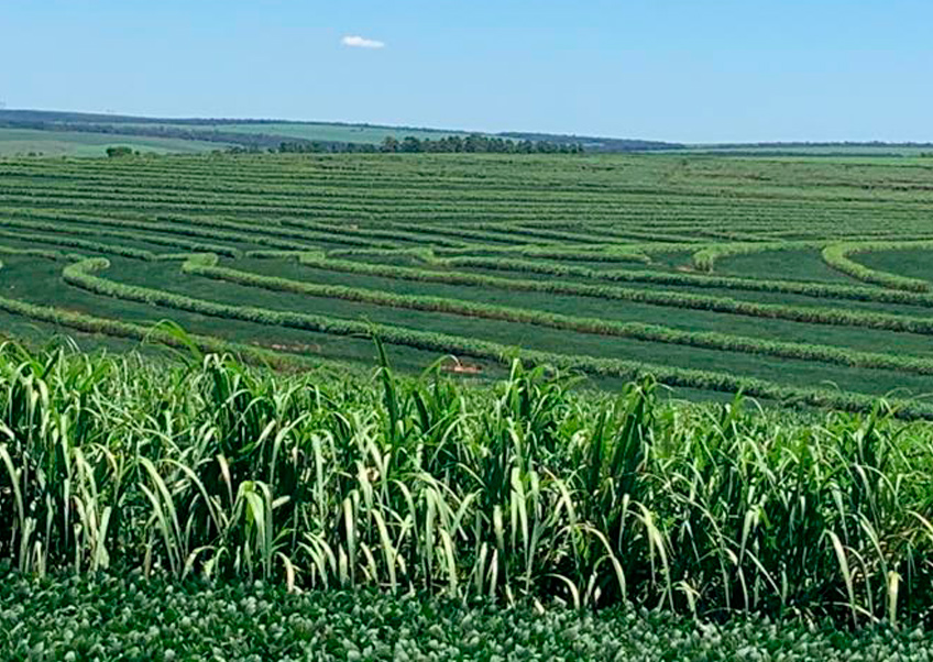 Fazenda Sgavioli