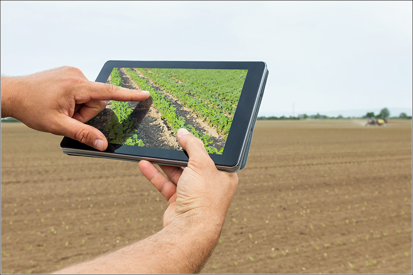 Gestão Agrícola para Pequenos Produtores de Soja