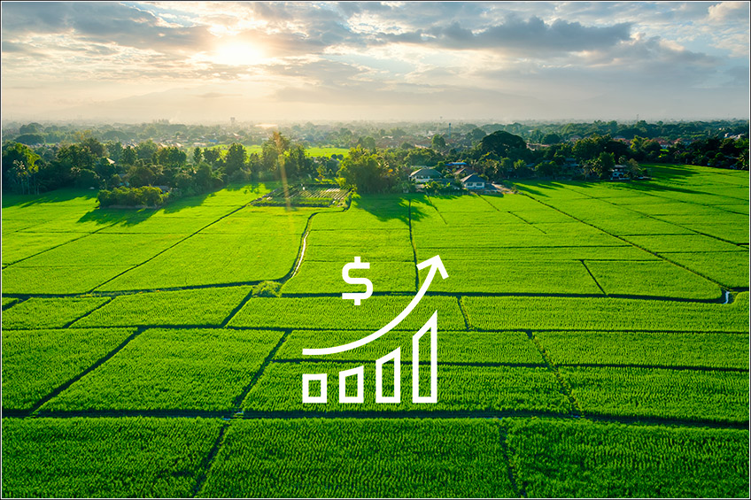 Gestão de Custo Agrícola para Fazendas