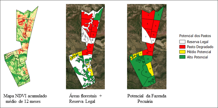 Mapas de NDVI