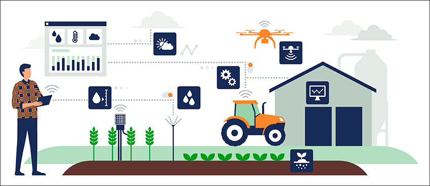 Gestão de Custo Agrícola para Produtor Rural